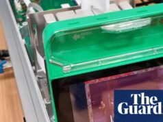 Una placa de Petri de células cerebrales humanas está reproduciendo Doom. ¿Deberíamos preocuparnos? | Juegos