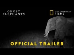 Fantasmas de elefantes