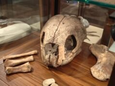 Casa Siebold en Leiden, Países Bajos