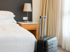 Riesgos de roedores en hoteles: prevención mediante vigilancia basada en datos