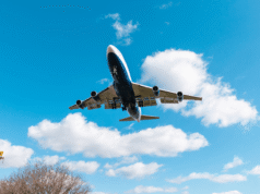 BIFA apoya empleos navieros durante Semana Nacional del Empleo