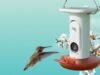 El comedero para colibríes impulsado por IA de Birdbuddy iguala su mejor precio hasta el momento