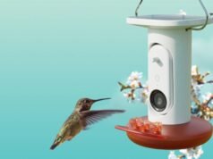 El comedero para colibríes impulsado por IA de Birdbuddy iguala su mejor precio hasta el momento