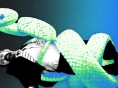 ¿Puede la IA matar al capitalista de riesgo?