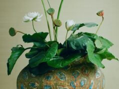 Mirar: el desfile de ropa femenina Dior Sophomore de Jonathan Anderson en vivo desde París