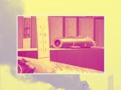 La marcada división en los sistemas de información de guerra de los Emiratos Árabes Unidos y la India