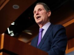 Senadores demócratas detallan sus planes para enfrentar los “Grandes Seguros”