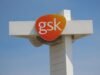 GSK utilizó al socio general de Flovent para “jugar con el sistema”: Senador