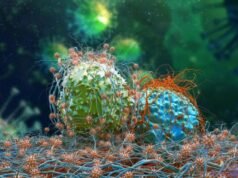 Startup Waiv lanza 33 millones de dólares de Owkin para llevar la precisión de la IA a las decisiones sobre el cáncer