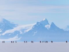 Apuntes desde el fin del mundo: el viaje de un escritor a la Antártida
