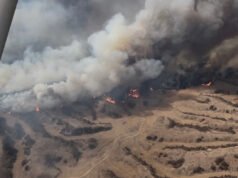 Nebraska busca camioneros para transportar heno después de un incendio forestal masivo