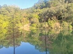 Embalse Lau Shui Heung en Hong Kong