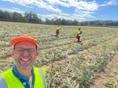 Cómo el intercambio de datos nacionales podría aumentar los ingresos agrícolas y garantizar la seguridad alimentaria