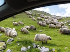 Que tengas un fin de semana relajante. | taza de joe