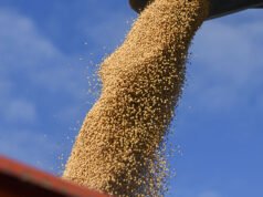 Los mercados agrícolas se preparan para una agitación prolongada en Irán