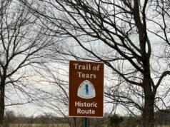 Sus correos electrónicos alimentan mi búsqueda para ver los 50 estados