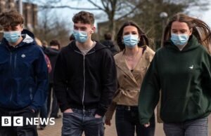 ¿Por qué los brotes de meningitis son tan explosivos?