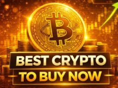 Ciclo Bull Run: la mejor criptomoneda para comprar ahora mientras Pepeto gana mientras BTC y XRP caen