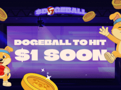 Las 3 mejores Altcoins para comprar en el próximo Bull Run