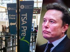 Elon Musk ofrece pagar a los agentes de la TSA un coste de más de 23 millones de dólares al día mientras continúa el cierre federal.