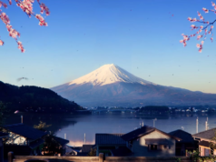 Se revelan los requisitos del sistema para PC de Forza Horizon 6