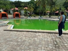 El peor resort de Marriott podría finalmente estar cerrando: la remodelación respaldada por 50 millones de dólares en las Islas Vírgenes de EE. UU. comienza a tomar forma