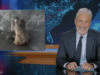 Jon Stewart tiene una reacción brutal al golpear a la nueva novia del mono