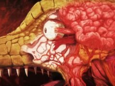 Información de lanzamiento oficial de la temporada 2 de Dorohedoro