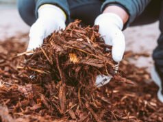 Una guía para propietarios sobre cómo cubrir su césped de la manera correcta esta temporada