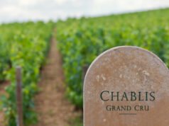 Chapley está viendo un crecimiento en los sectores premium en el Reino Unido y EE. UU.