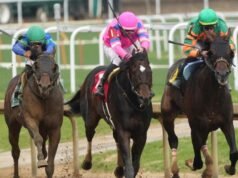 Caballos del Kentucky Derby 2026, probabilidades, futuros, vista previa, fechas: se elegirán expertos del Doble 12 Derby-Oaks