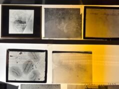 El reloj está en nuestros genes.