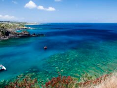 Miami – Maui, Hawaii (y viceversa). $495 (Economía Básica) / $665 (Economía Regular). Ida y vuelta, impuestos incluidos – oferta de vuelo