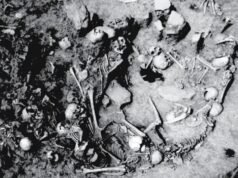 Sombría fosa común con 77 cuerpos apilados en un pozo de muerte encontrada después de 2.800 años junto a misteriosas ‘ofrendas de animales’