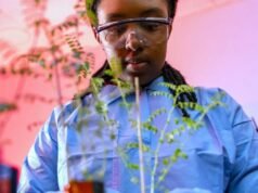 Gran avance a medida que los científicos cultivan con éxito garbanzos en suelo lunar, allanando el camino para la agricultura espacial