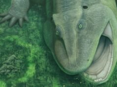 Antigua y fea bestia marina con una mandíbula torcida “muy extraña” y dientes orientados hacia los lados descubierta por científicos atónitos