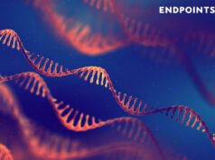 Un estudio sugiere que una forma más simple de ADN puede ser la clave para la terapia génica no viral