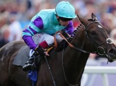 Hoy en Sky Sports Racing: Cool Hoof Luke cubre a Lady Wulfruna en Wolverhampton | noticias de carreras