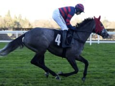 Hoy en Sky Sports Racing: Getawhiskey se enfrenta a Charisma Cat en Newbury | noticias de carreras
