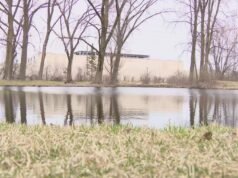 ‘Ruido blanco con esteroides’: el Ayuntamiento de Aurora aprueba restricciones de ruido en los centros de datos mientras los residentes piden un cambio