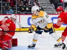 Probabilidades, selecciones, selecciones y predicciones de Red Wings contra Red Wings. Depredadores, las mejores apuestas de los expertos para el 2 de marzo