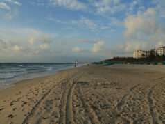 Los Ángeles – West Palm Beach, Florida (y viceversa). $237 (Economía Básica) / $337 (Economía Regular). Ida y vuelta, impuestos incluidos – oferta de vuelo