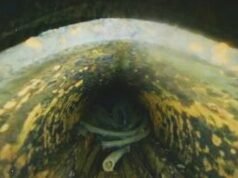 Un vídeo de un dron desde el interior de un reactor de Fukushima muestra un agujero en el recipiente a presión, probablemente restos de combustible.