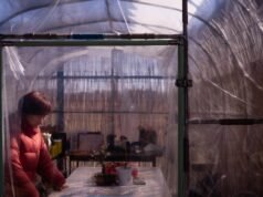 15 años después de la fusión de Fukushima, una posadera investiga la radiación para revitalizar su ciudad natal