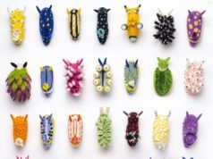 Sumérgete en el vibrante y enorme mundo de Wool Creature Lab.