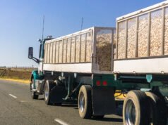 Un hombre de Florida enfrenta cargos federales por robo de un envío de cebolla