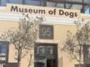 Museo del Perro en Ciudad del Cabo