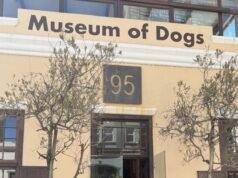 Museo del Perro en Ciudad del Cabo