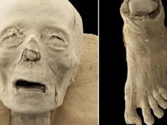 Pies sombríos y cráneos de momias egipcias de 2.300 años de antigüedad revelados con impactante detalle