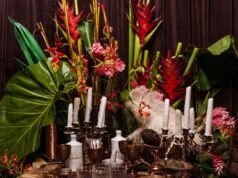 Entrevista de Hendrik Gene Anoland con el Dr. Elano Gilovich